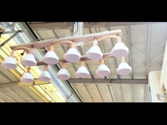 গরম বিক্রয় কুকি mason জার কম দাম সঙ্গে প্লাস্টিকের জার